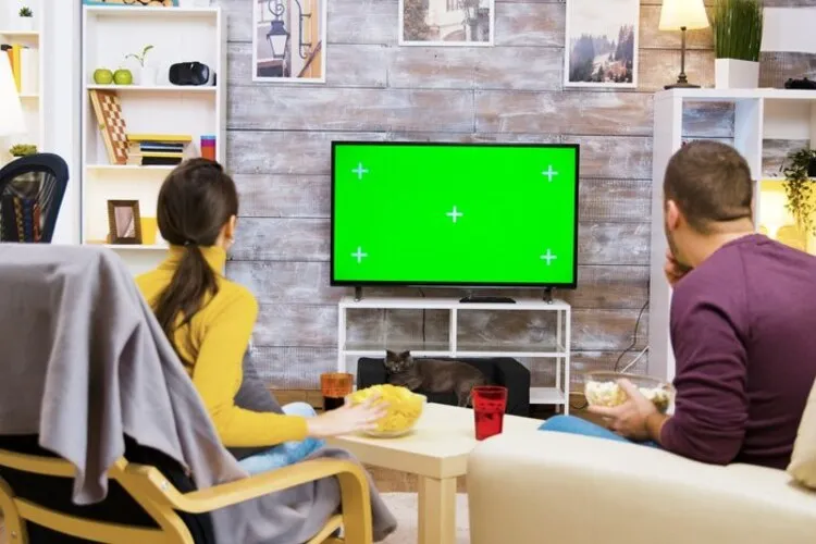 الفرق بين اشتراك هولك واشتراك فالكون